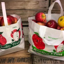 A grocery bag contains x apples