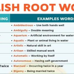 Words with the root word terr