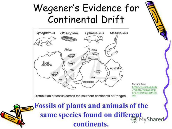 Section 9.1 continental drift answer key