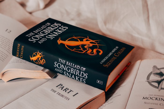 The ballad of songbirds and snakes chapter summary