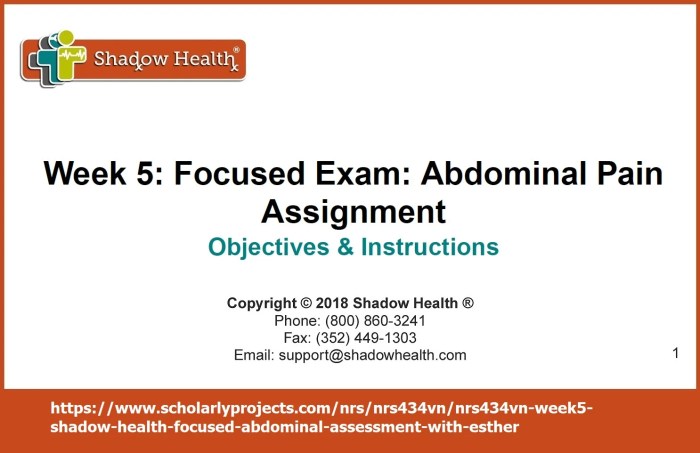 Shadow health focused exam abdominal pain